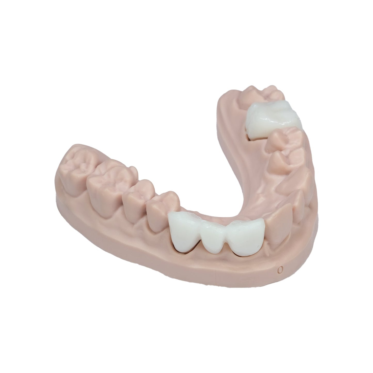 C-TEMP (Light - Bleach)